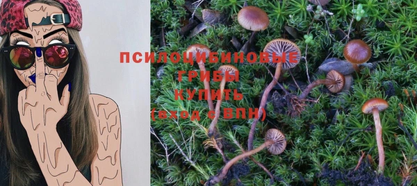 каннабис Алексеевка